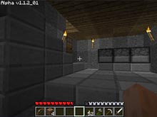Minecraft Capture d'Écran 5