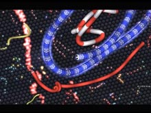 slither.io لقطة الشاشة 1