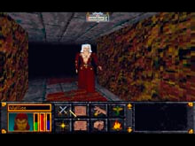 The Elder Scrolls Arena لقطة الشاشة 5