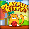 Playful Kitty